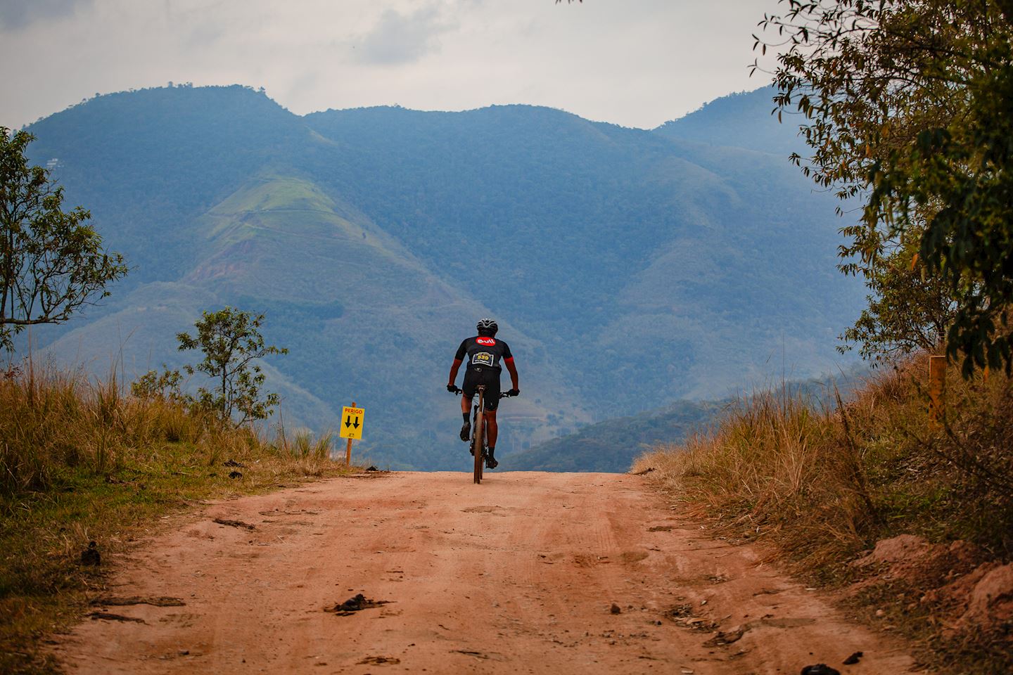 wtr miguel pereira