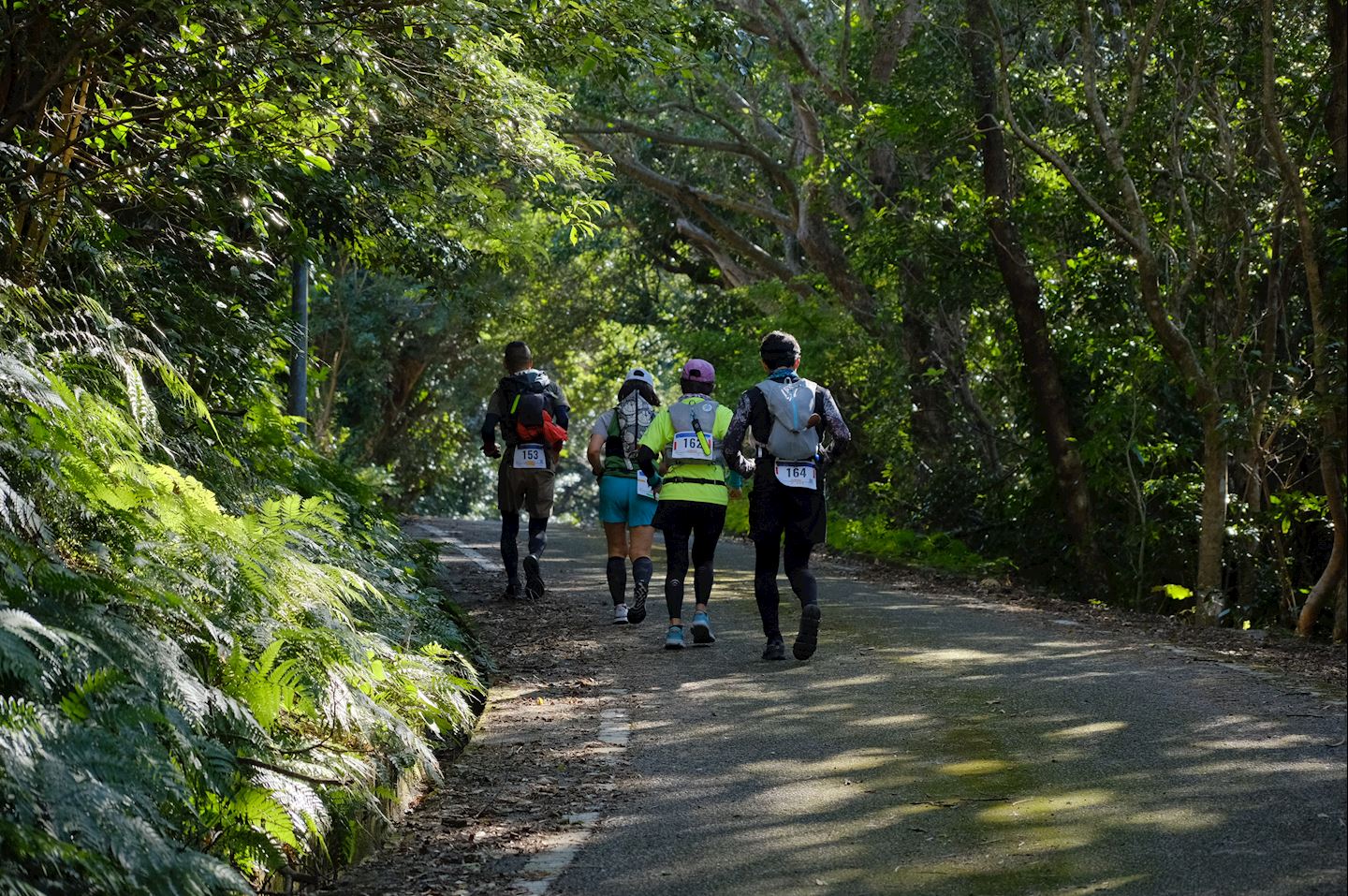 yakushima ultra eco maranic