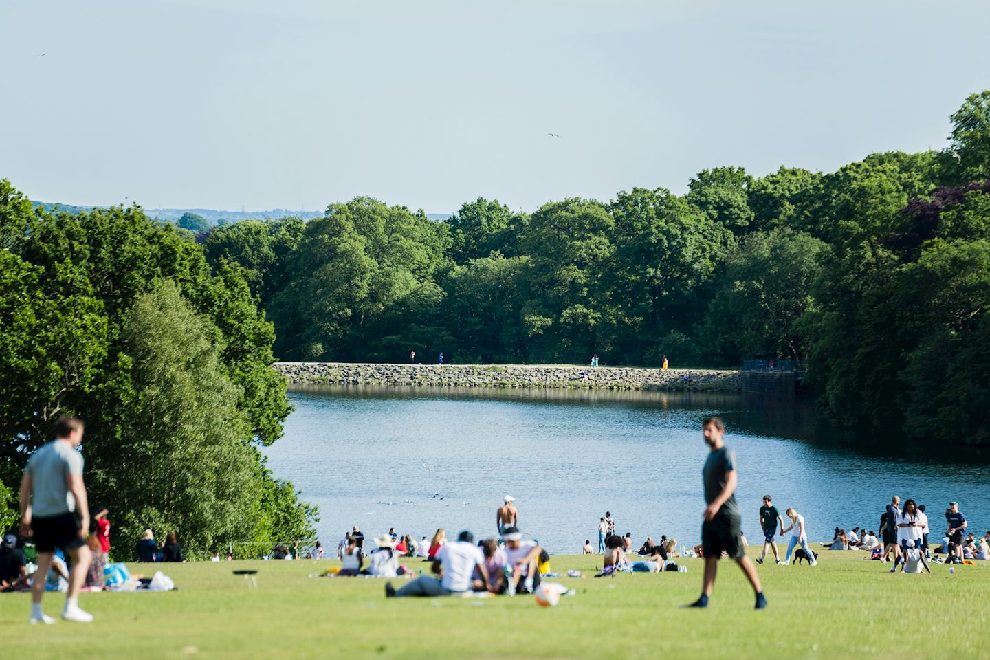 yorkshire day run