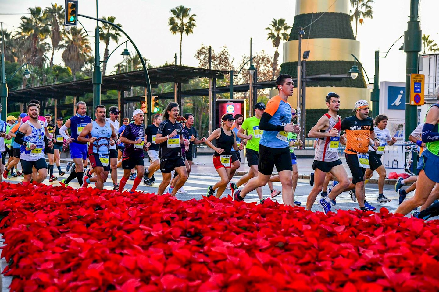 zurich marathon malaga